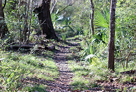 Acadiana Park Nature Station