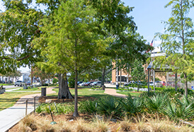 Bayou Metairie Park