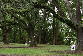 Jim Bowie Park Jim Bowie Park
