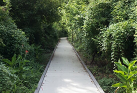 La Salle Park