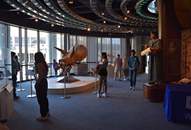 Louisiana Art & Science Museum