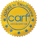 NOLA Detox logo with blue and yellow colors and accreditation badge.